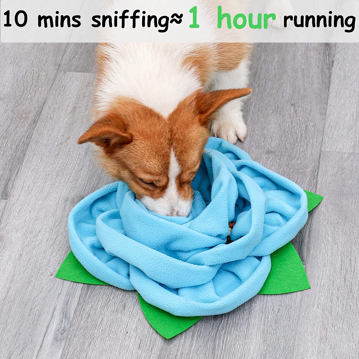 Snuffle Mat for Dogs