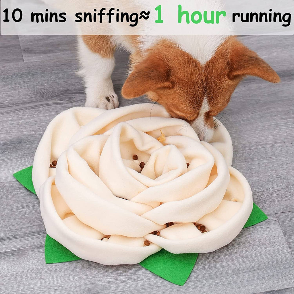 Snuffle Mat for Dogs