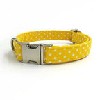 The Summer™ Fashion Pet Set of Collar & Leash Artist Collars & Harnesses Pet Clever yellow collar XS 