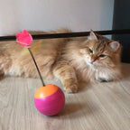 Three in One Tumbler Teaser Cat Toy Cat Toys Pet Clever 