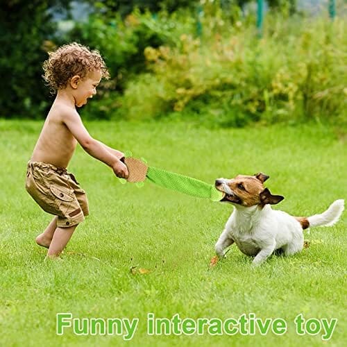 Turtle Dog Squeak Toys Dogs Enrichment Treat Dispensing Puzzle Toys