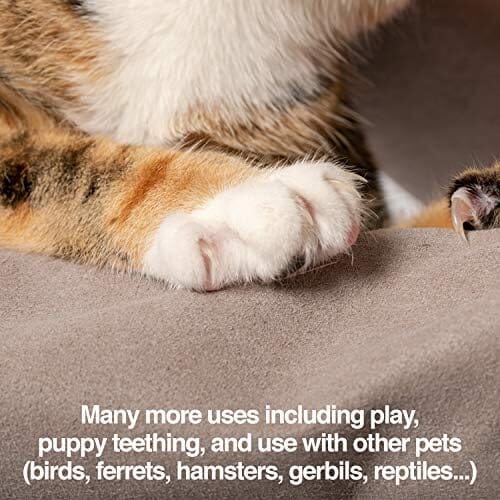 Unisex Multi-purpose Pet Glove Grooming Glove