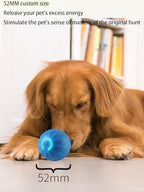 USB Rechargeable Motion-Activated Rolling Toy
