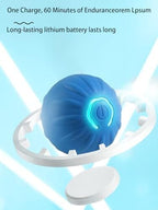 USB Rechargeable Motion-Activated Rolling Toy